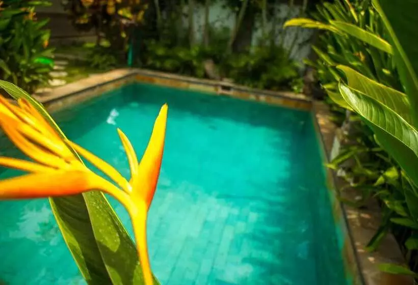 Aamiaismajoitus (B&B) Sunrise