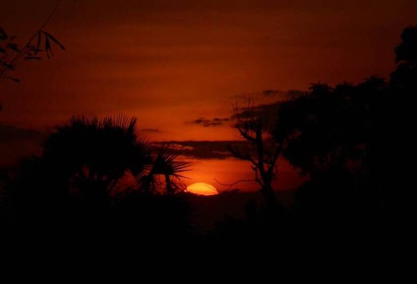 Bed and Breakfast The Local Menjangan