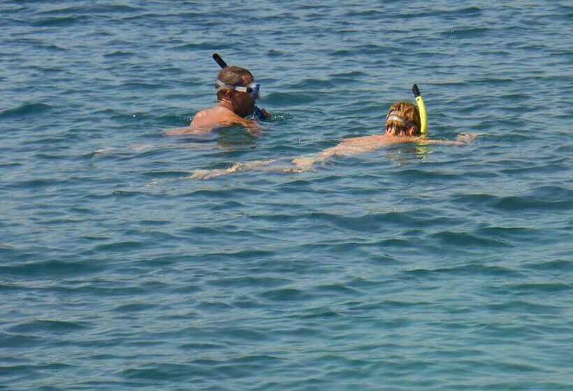 Bed and Breakfast The Local Menjangan