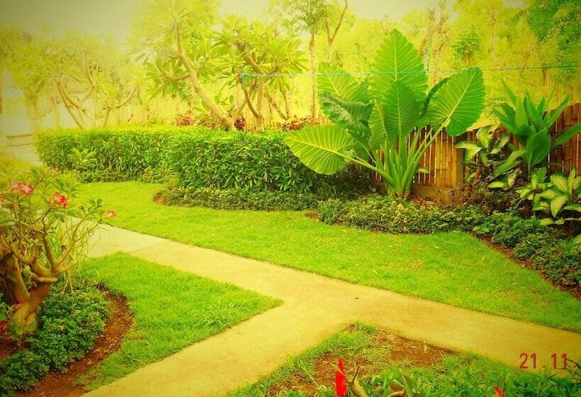 Bed and Breakfast The Local Menjangan