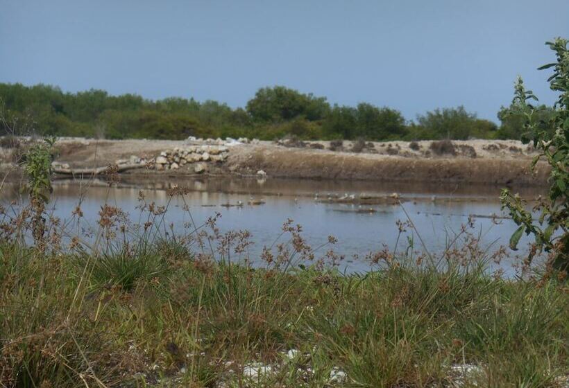 Bed and Breakfast The Local Menjangan