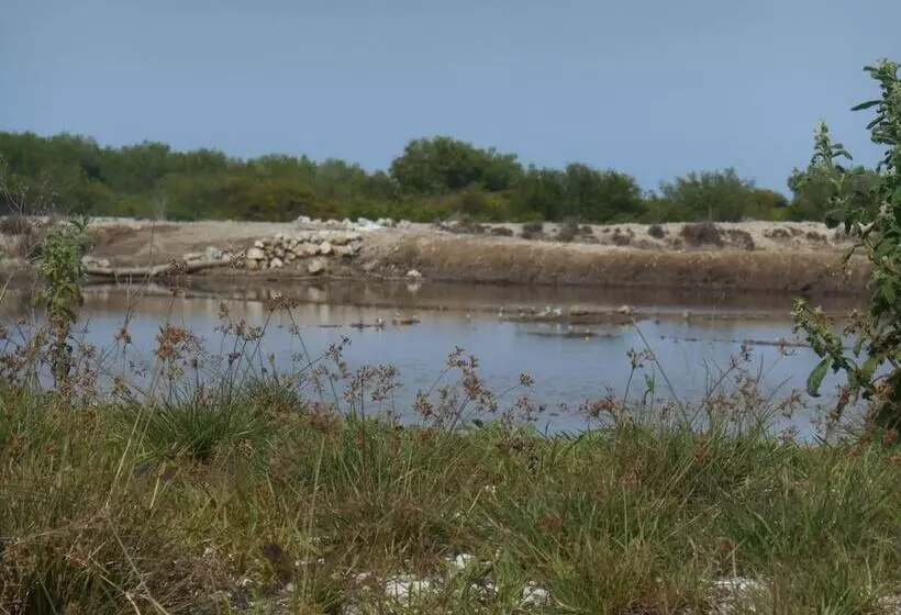 Aamiaismajoitus (B&B) The Local Menjangan