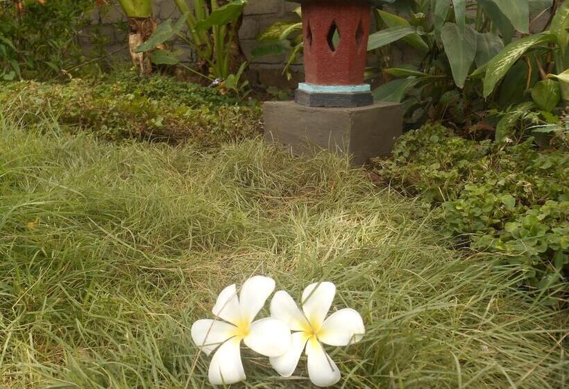 Bed and Breakfast The Local Menjangan