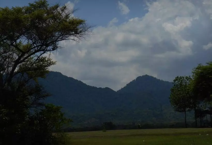 Aamiaismajoitus (B&B) The Local Menjangan