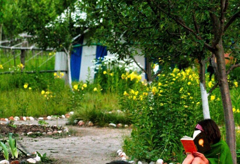 酒店 Banjara Camp And Retreat Sangla