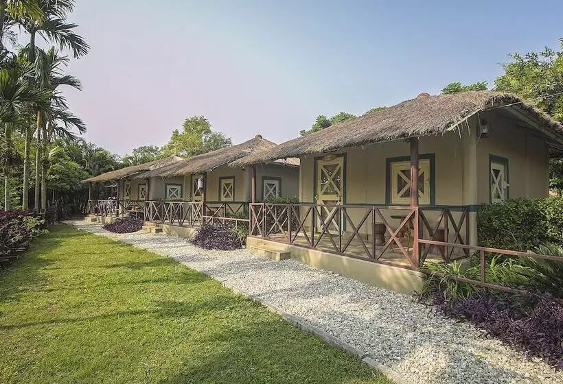 ホテル Resort Gorumara Nest By Oyo Rooms