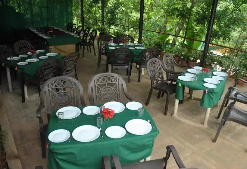 Hotelli Wild Camp  The Nature Resort