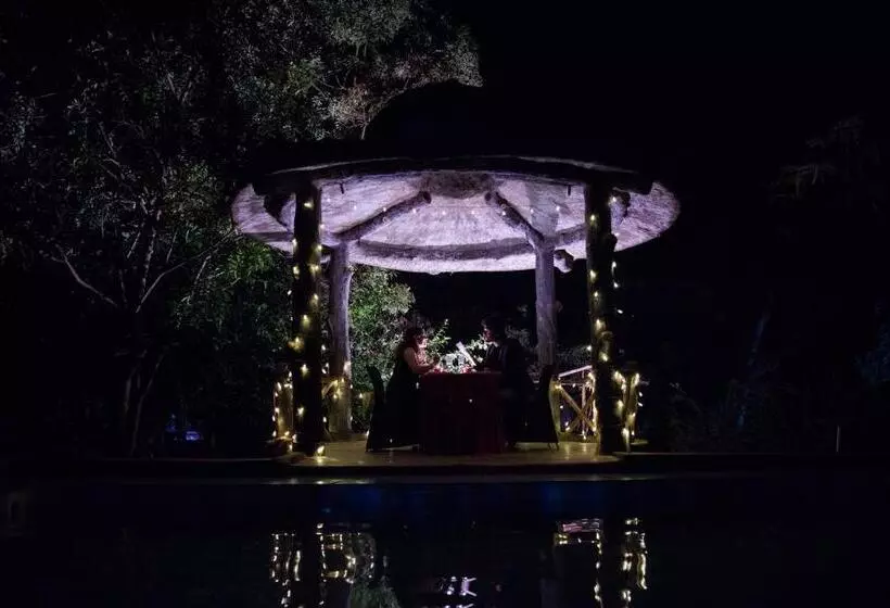 Hotelli Wild Camp  The Nature Resort