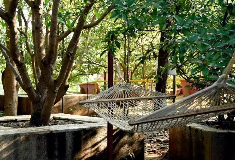 Hotelli Wild Camp  The Nature Resort