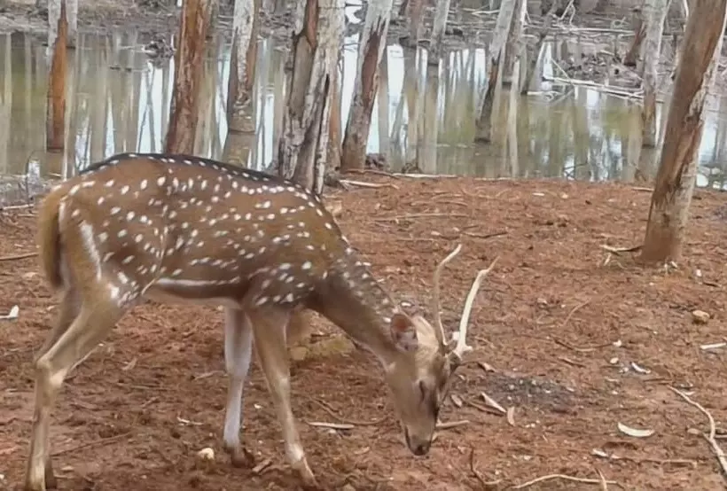 Reddoorz @ Hotel Negeri Baru Kalianda