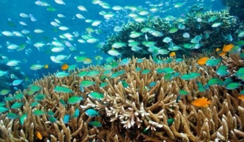 פנסיון Dewantara Boutique Villa Resort Bali