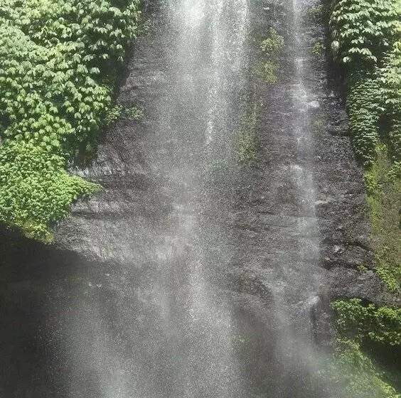 Majatalo Esa Di Kubu Homestay