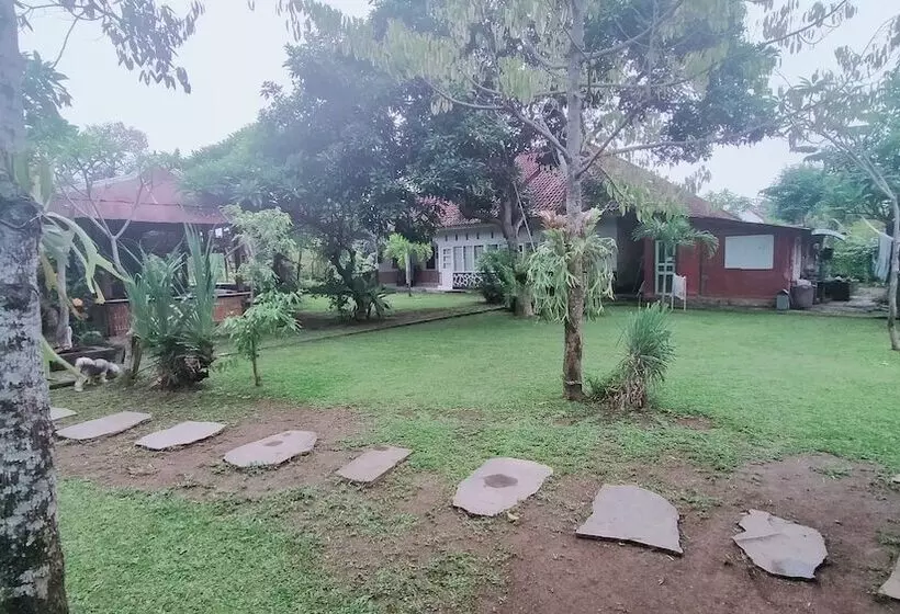 Majatalo Esa Di Kubu Homestay