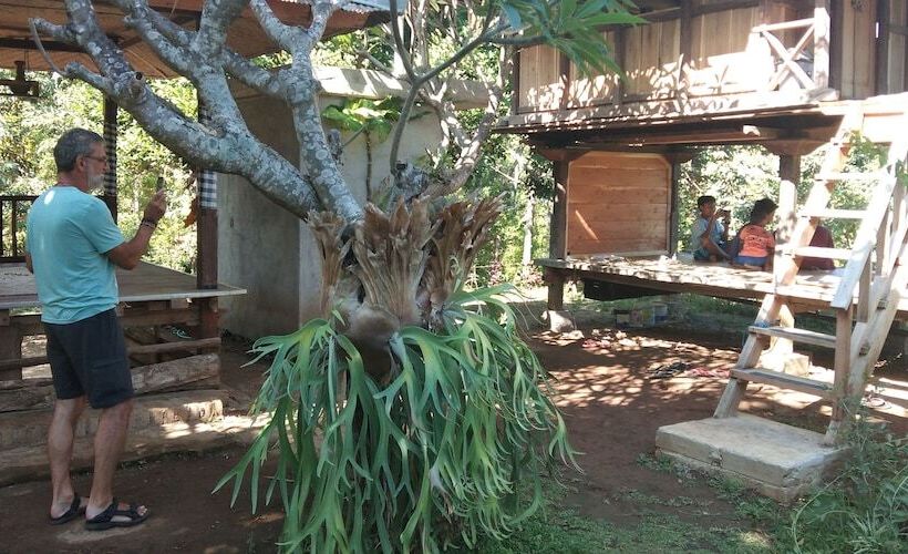 膳宿费 Esa Di Kubu Homestay