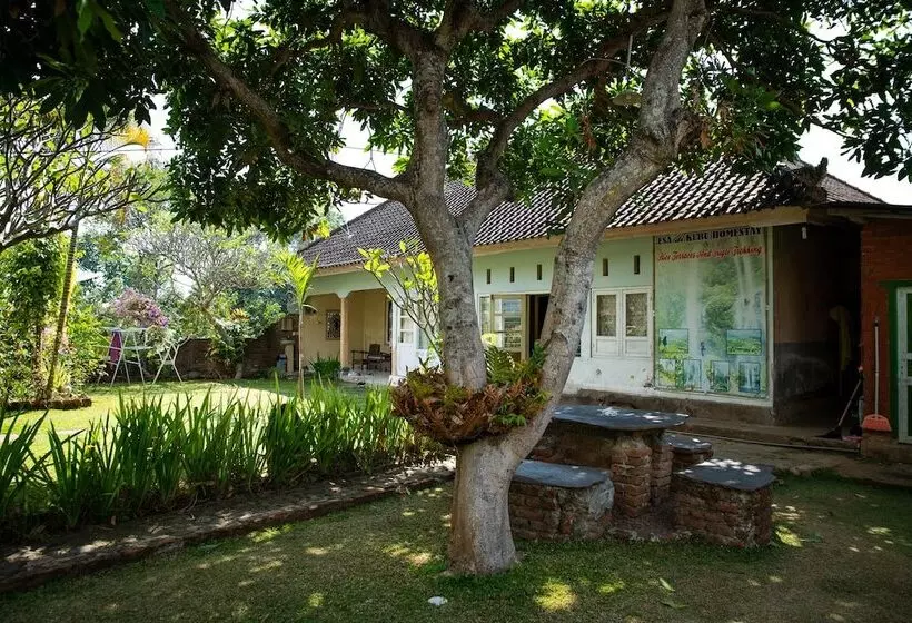 Majatalo Esa Di Kubu Homestay