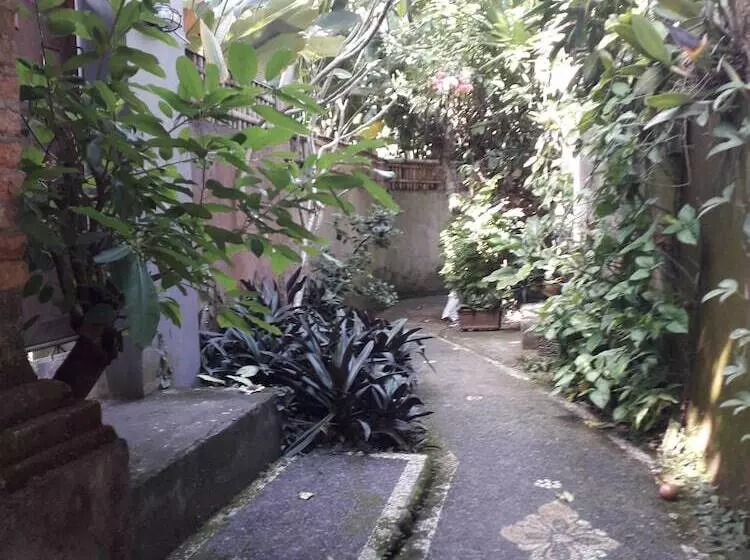 ペンション Widi House