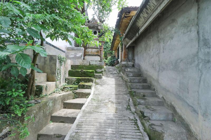 膳宿费 Widi House