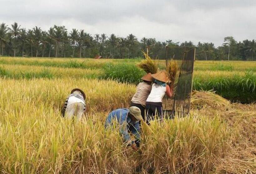 Bed and Breakfast Semanggi Cottage