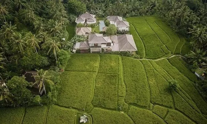 Aamiaismajoitus (B&B) The Shala Bali