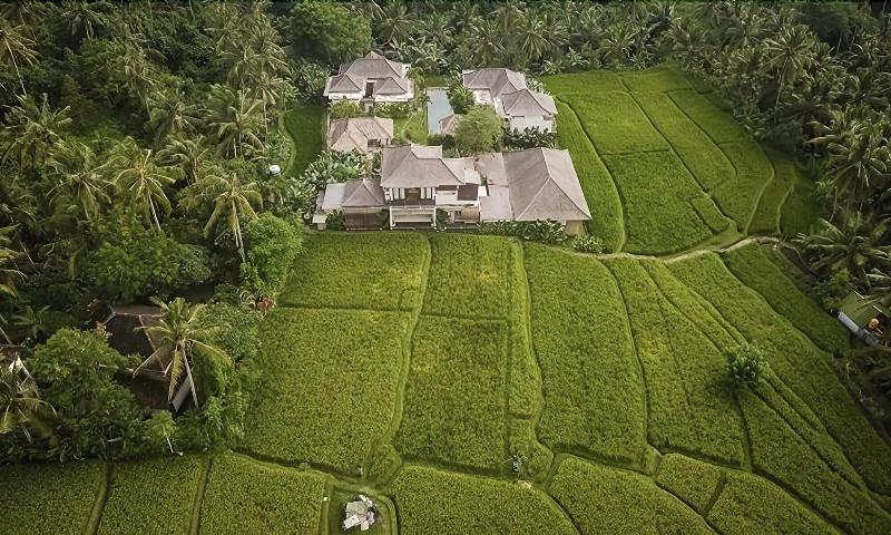 住宿加早餐  The Shala Bali