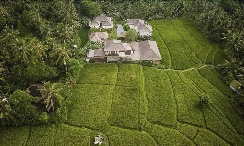 Aamiaismajoitus (B&B) The Shala Bali