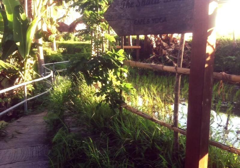 住宿加早餐  The Shala Bali