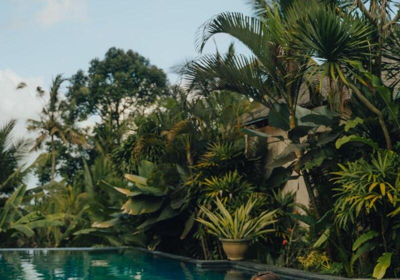 住宿加早餐  The Shala Bali