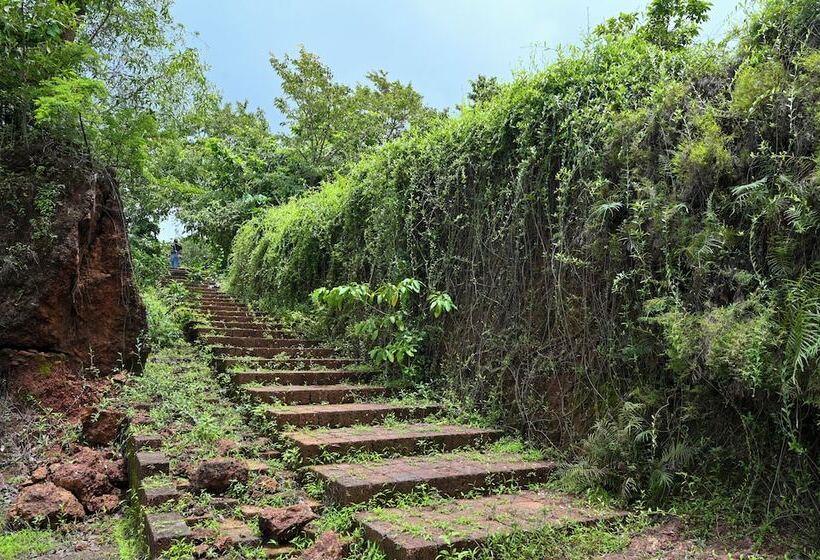 Hotel Forest Hills At Tala