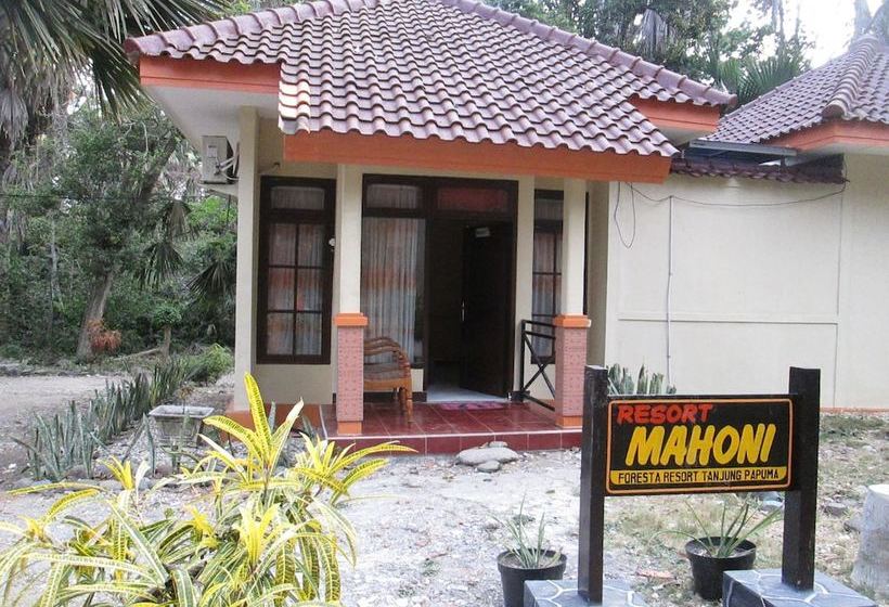 Hotel Foresta Papuma