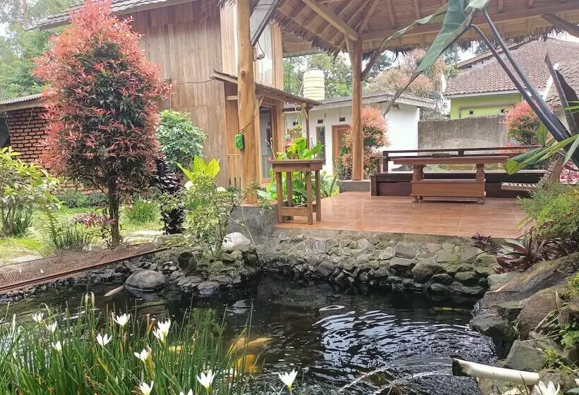 Majatalo Adk Papandayan Homestay & Tour