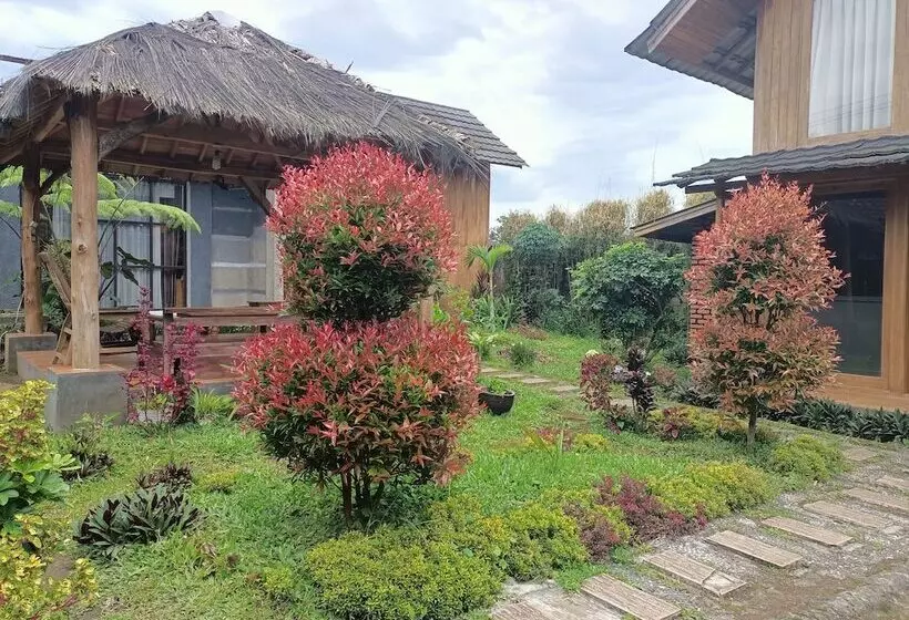 Majatalo Adk Papandayan Homestay & Tour