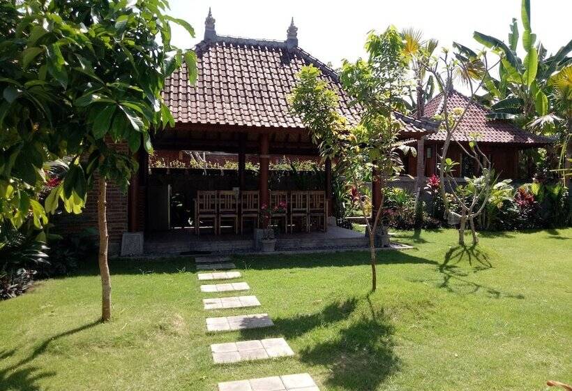 膳宿费 Khalisha Villa