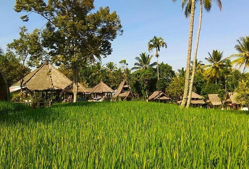 Vandrarhem Hakiki Inn Bungalows