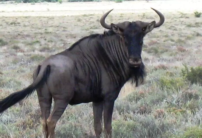 ホテル The Vale Karoo Farm