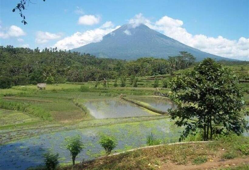 Пансион Bukit Asri Lodge