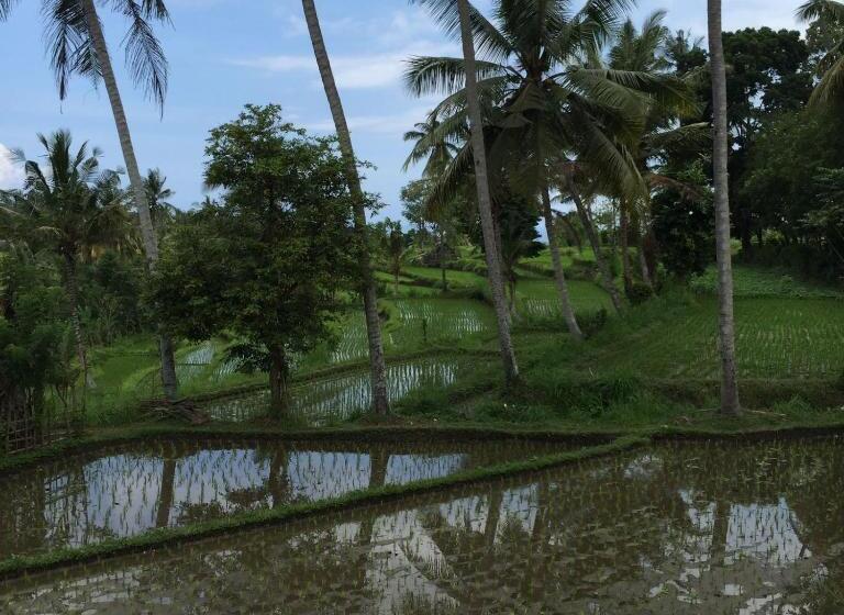 Пансион Bukit Asri Lodge
