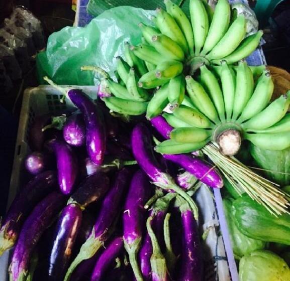 Пансион Bukit Asri Lodge