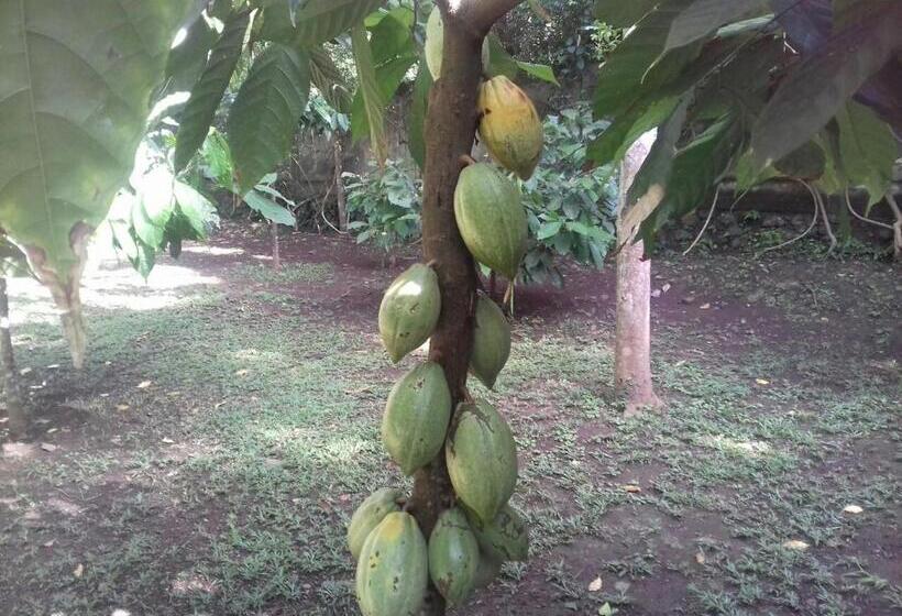 Пансион Bukit Asri Lodge