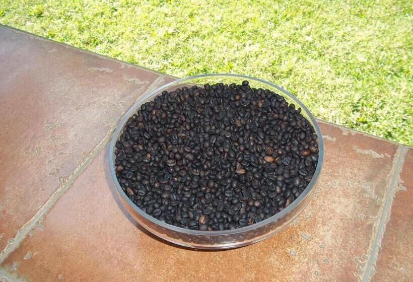 Пансион Bukit Asri Lodge