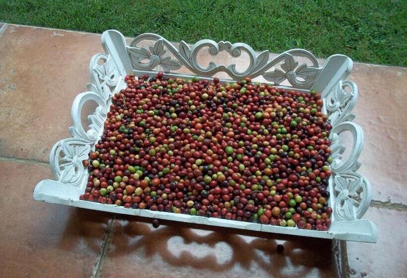 Пансион Bukit Asri Lodge