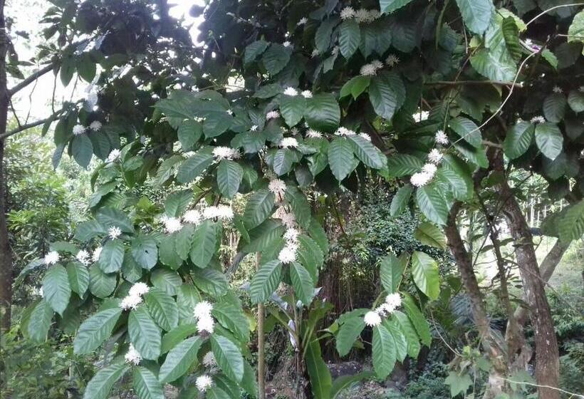 Пансион Bukit Asri Lodge