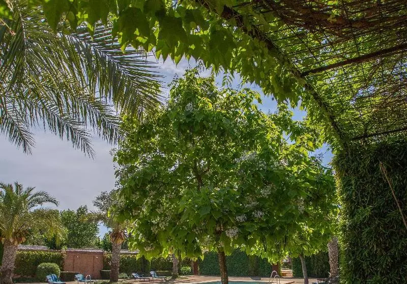 Отель Cortijo De Los Mimbrales