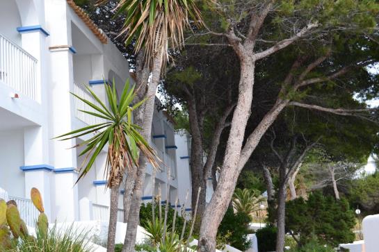 בית מלון כפרי D-H Club Vista Bahía