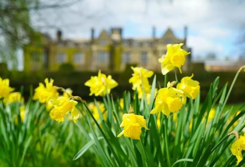 בית מלון כפרי Gisborough Hall