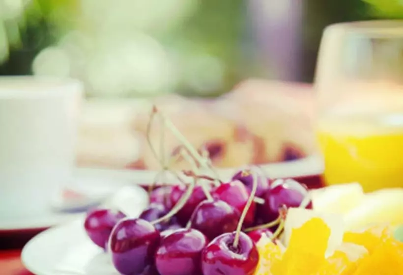 酒店 Mas Ses Vinyes - Adults Only