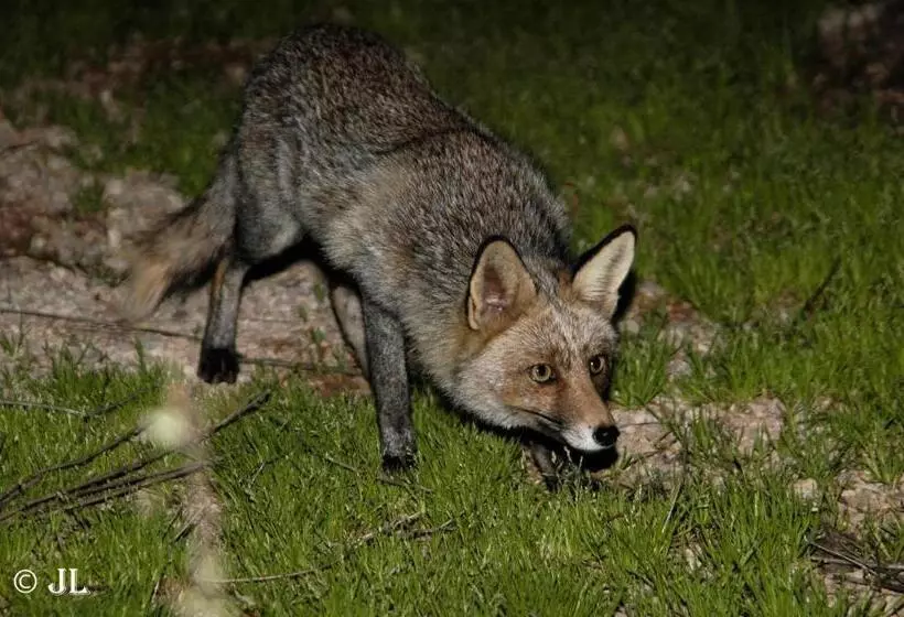 Отель Paraiso De Bujaraiza