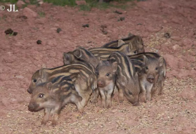 Отель Paraiso De Bujaraiza