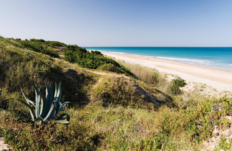 Hotel Riu Chiclana - All Inclusive