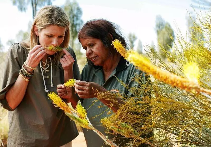 호텔 The Lost Camel