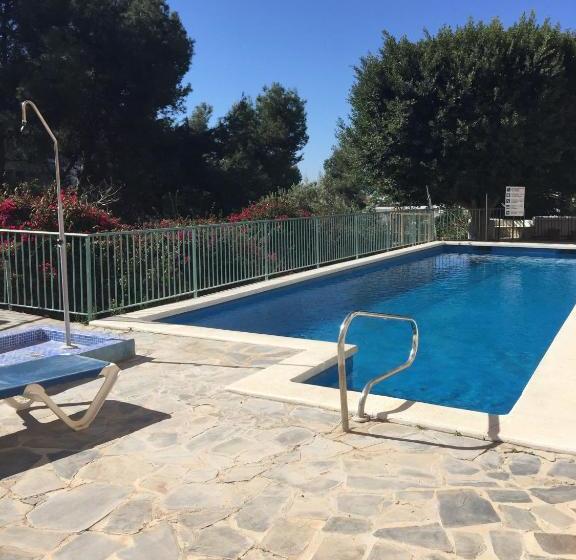 Las Flores De Burriana